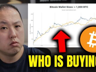 WHO IS BUYING BITCOIN? RETAIL OR WHALES?