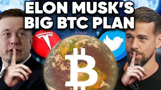 Elon Musk’s Plan for BITCOIN Will Change the WORLD!!!!!
